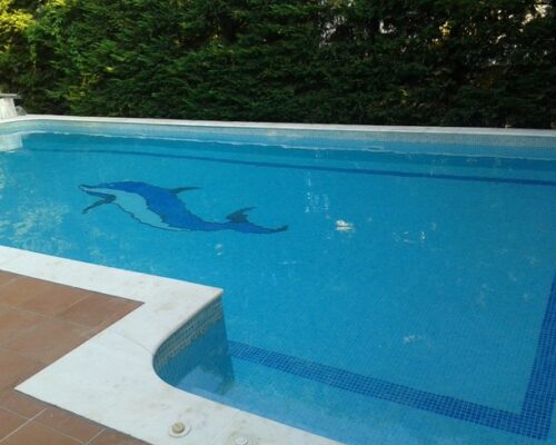 πισινα δελφινι